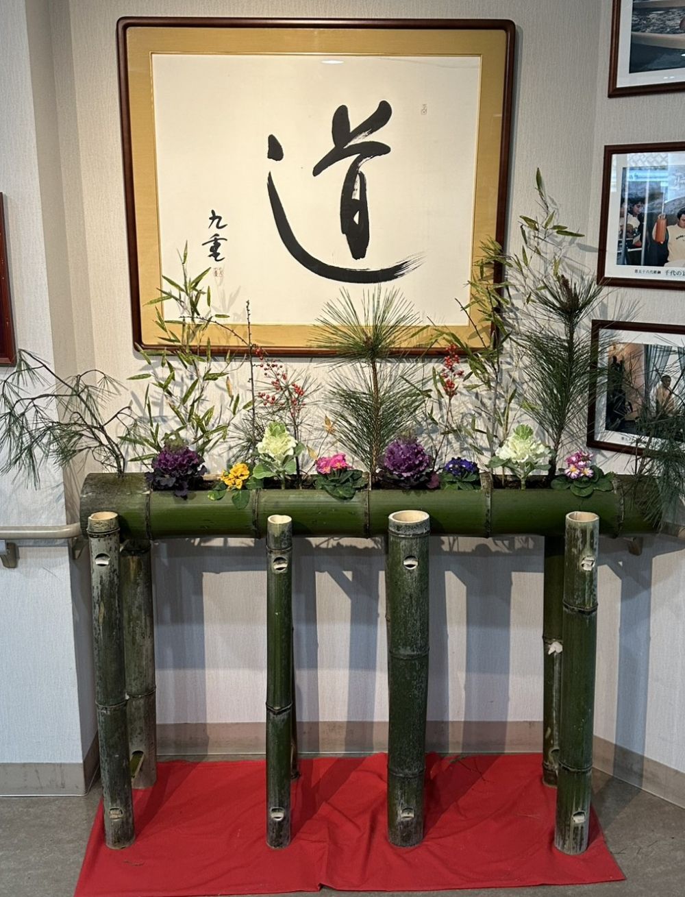 ノーイメージタグ